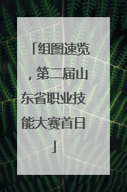 组图速览，第二届山东省职业技能大赛首日
